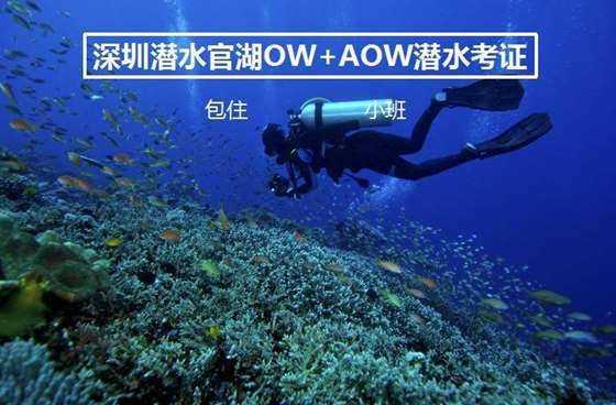神秘事件